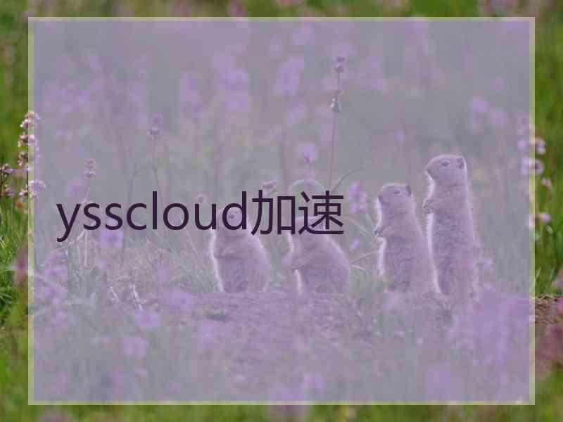 ysscloud加速