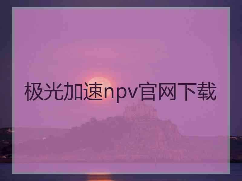 极光加速npv官网下载