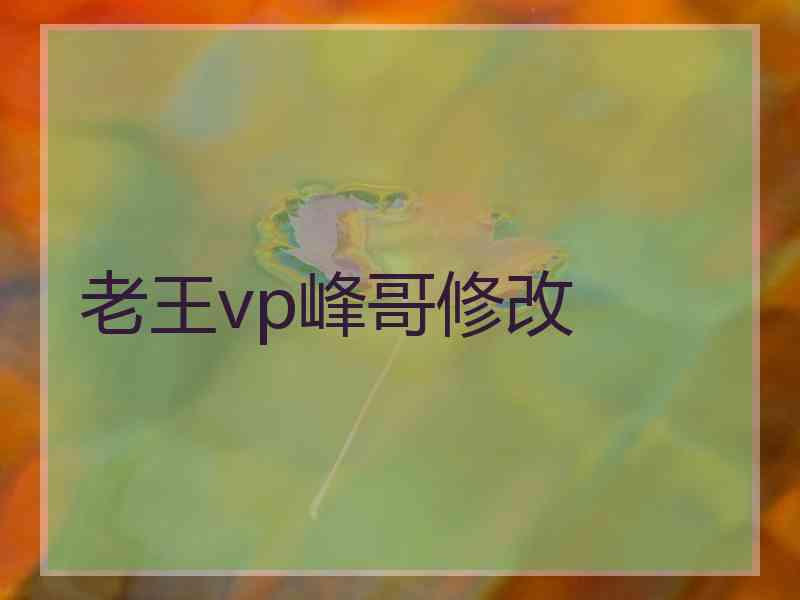 老王vp峰哥修改