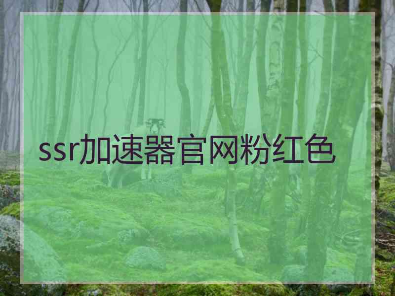 ssr加速器官网粉红色