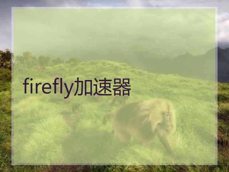 firefly加速器