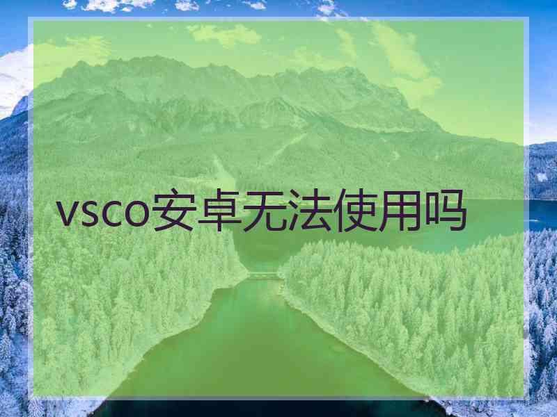 vsco安卓无法使用吗