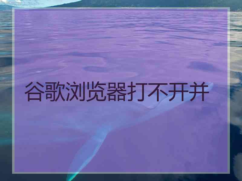 谷歌浏览器打不开并