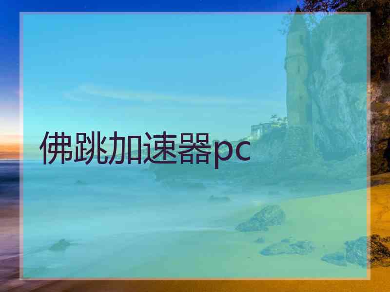 佛跳加速器pc