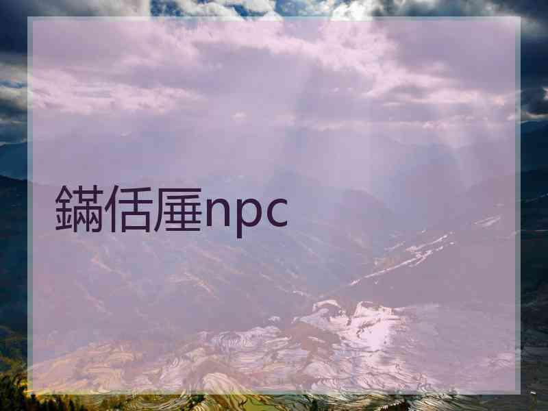 鏋佸厜npc