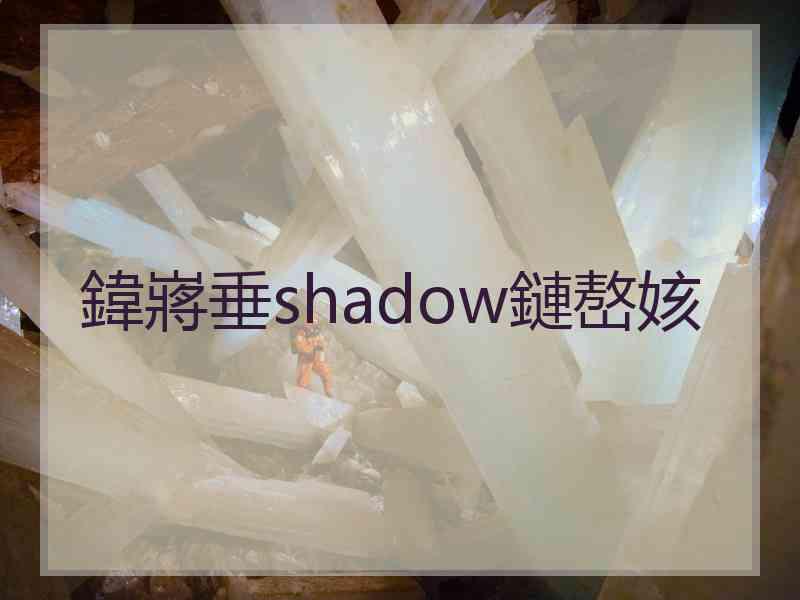 鍏嶈垂shadow鏈嶅姟