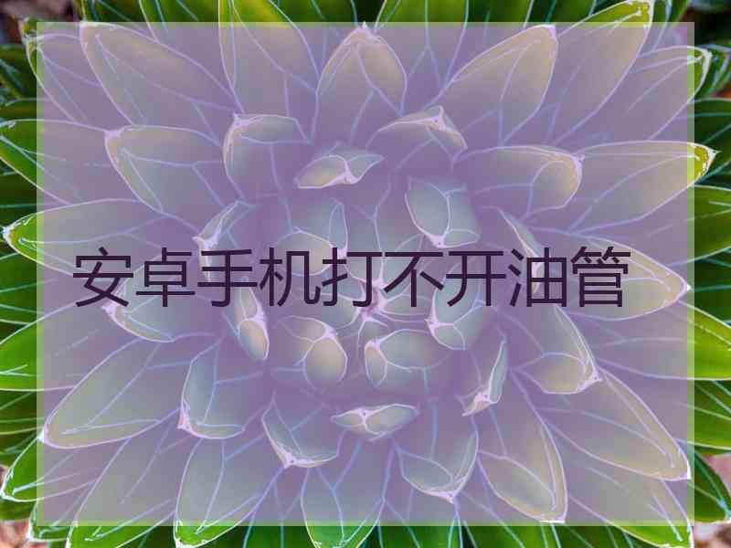 安卓手机打不开油管