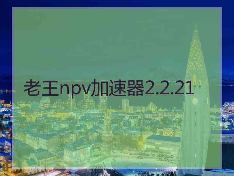 老王npv加速器2.2.21