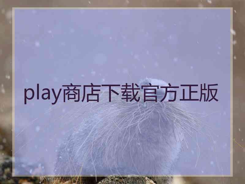 play商店下载官方正版
