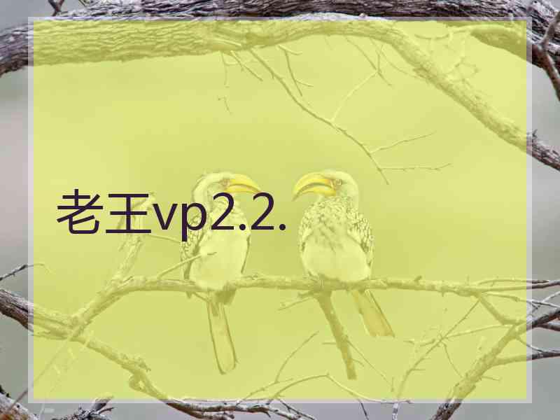 老王vp2.2.