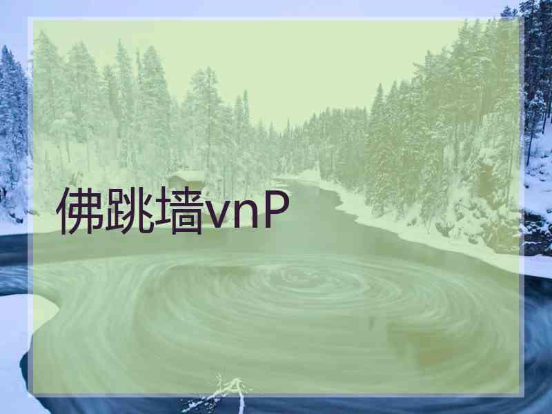 佛跳墙vnP