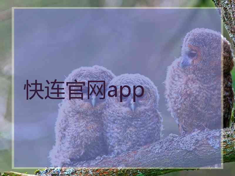 快连官网app