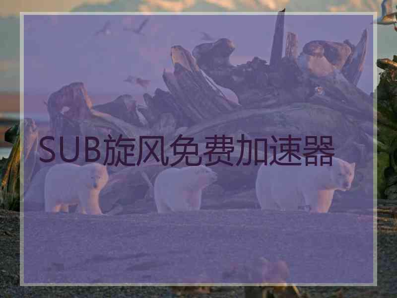 SUB旋风免费加速器