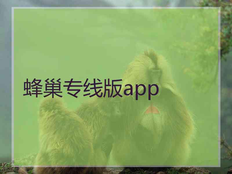 蜂巢专线版app