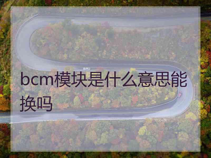 bcm模块是什么意思能换吗