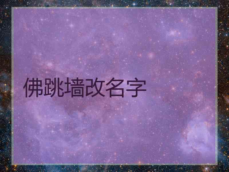 佛跳墙改名字