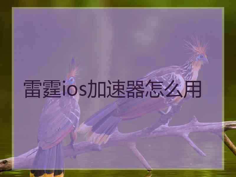 雷霆ios加速器怎么用