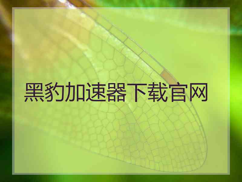 黑豹加速器下载官网