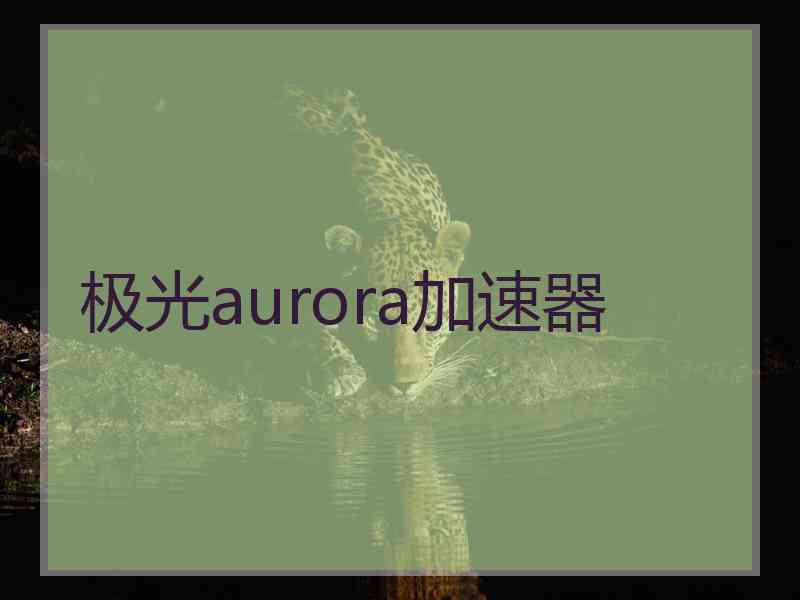 极光aurora加速器