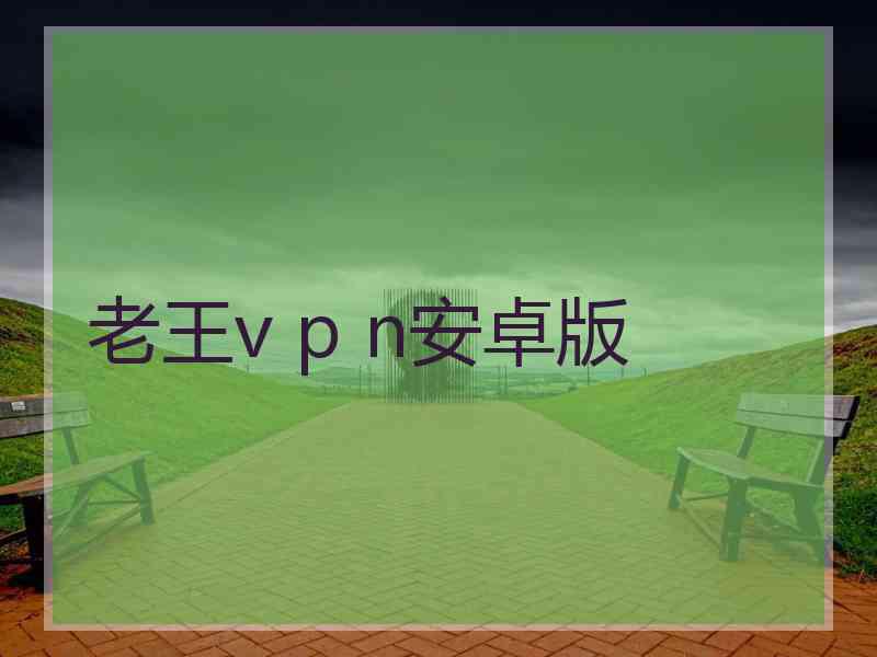 老王v p n安卓版