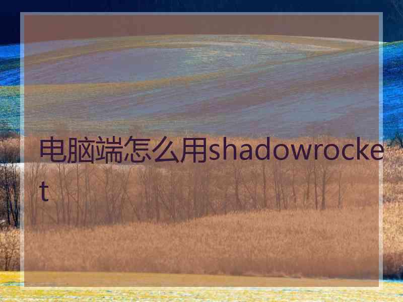 电脑端怎么用shadowrocket