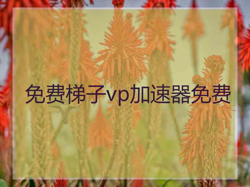 免费梯子vp加速器免费