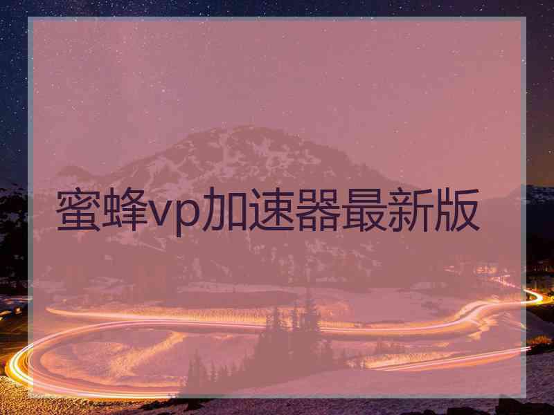 蜜蜂vp加速器最新版