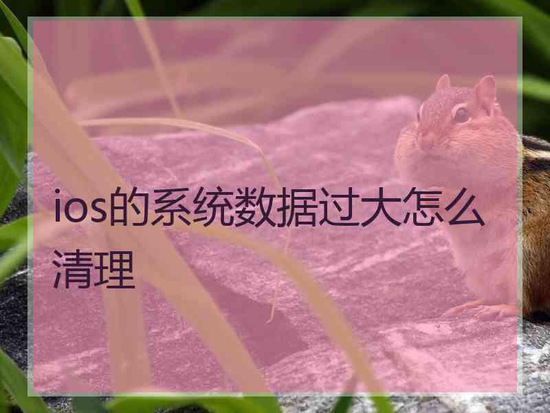 ios的系统数据过大怎么清理