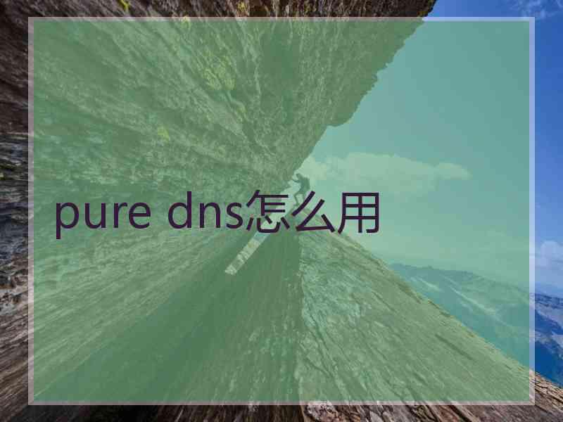 pure dns怎么用