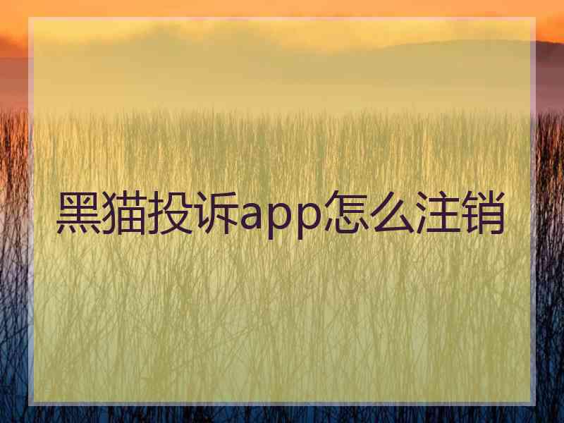 黑猫投诉app怎么注销