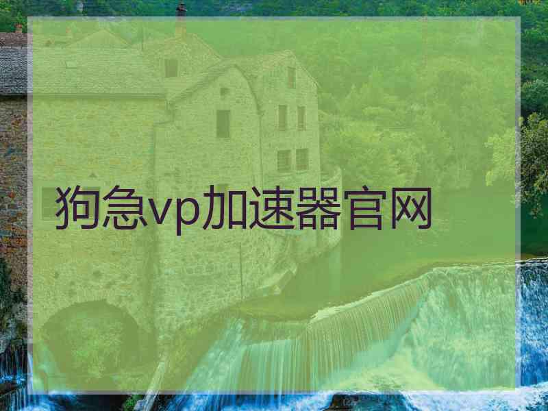 狗急vp加速器官网