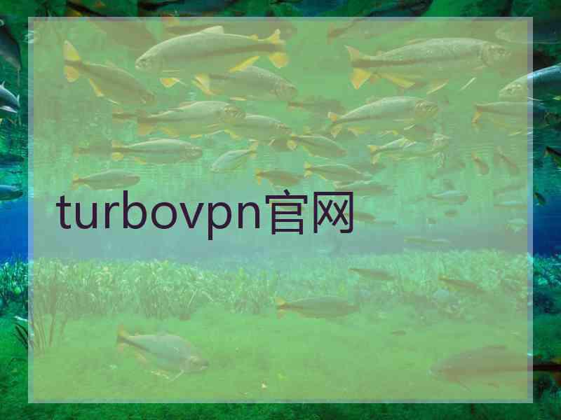 turbovpn官网