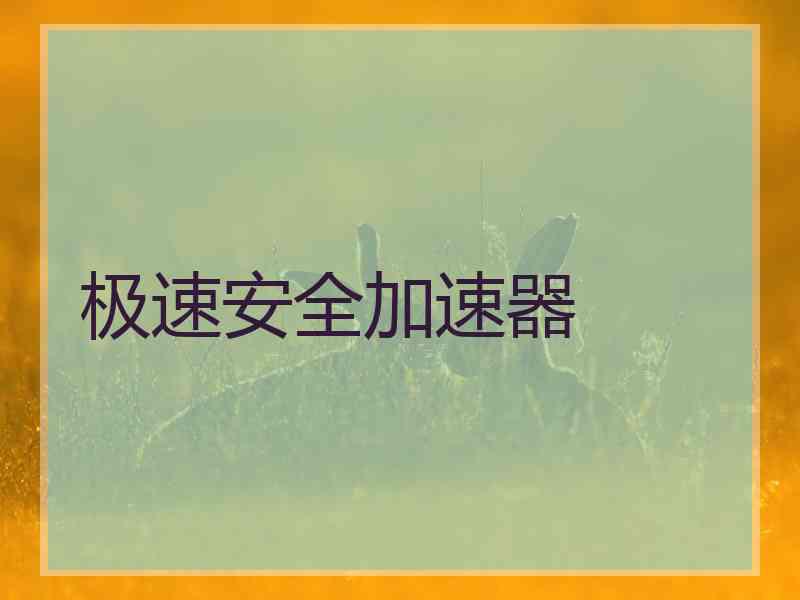 极速安全加速器