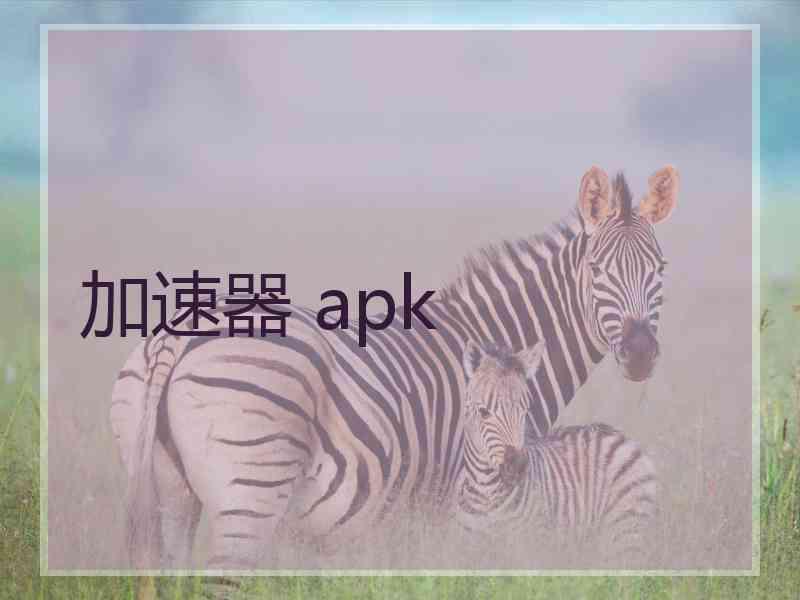 加速器 apk