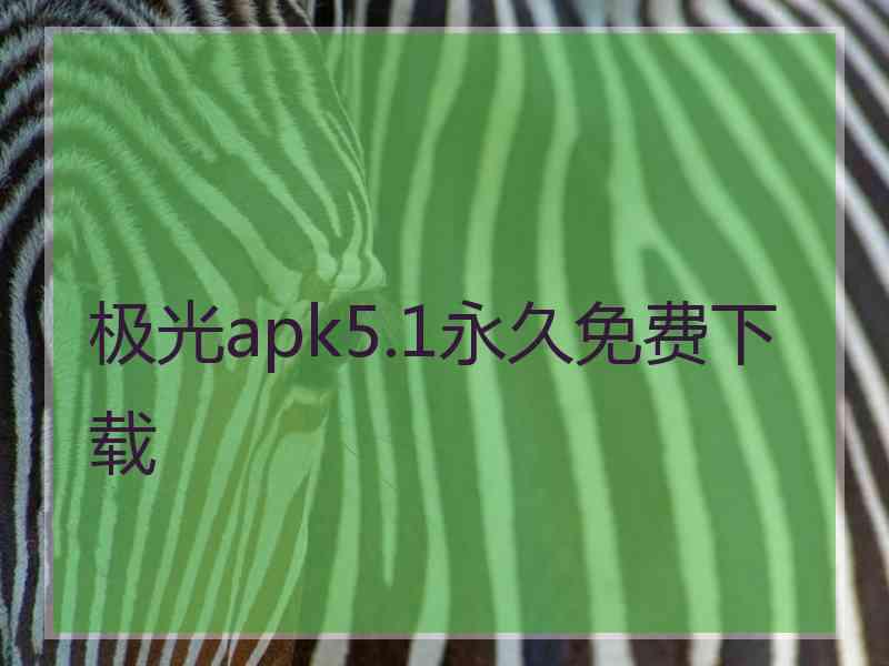极光apk5.1永久免费下载