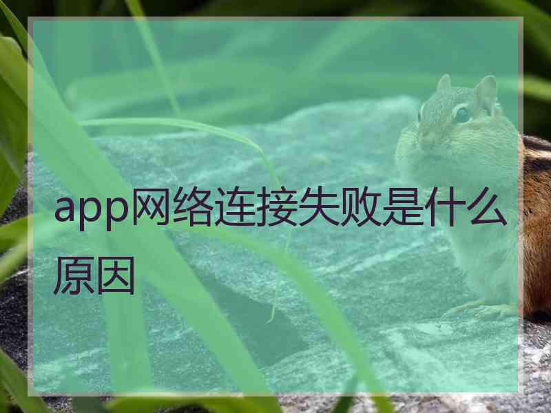 app网络连接失败是什么原因