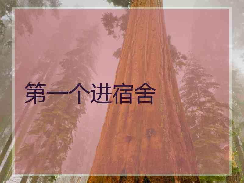 第一个进宿舍