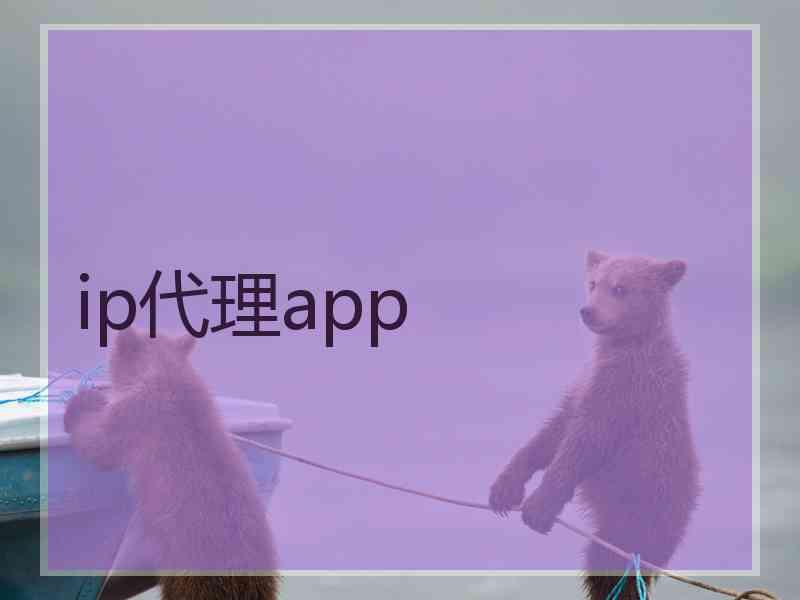 ip代理app