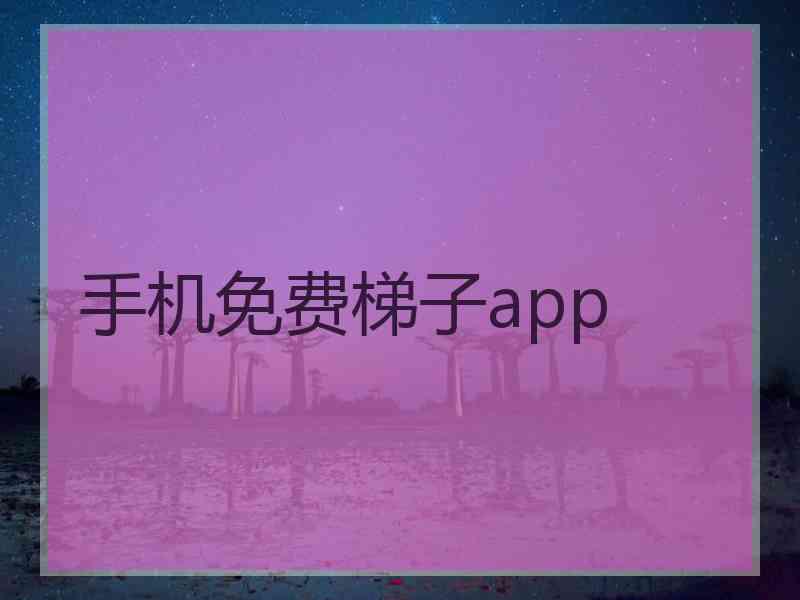 手机免费梯子app