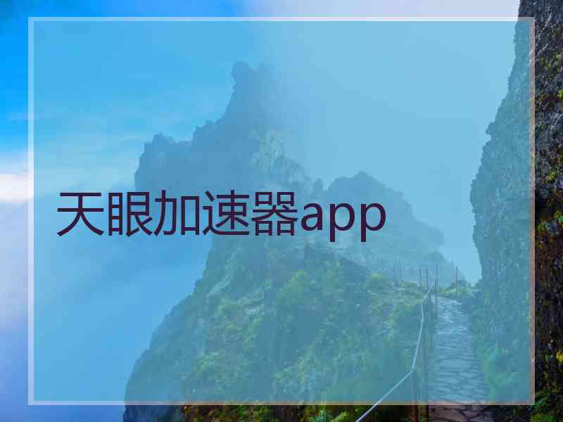 天眼加速器app