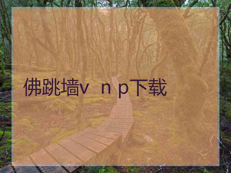 佛跳墙v  n p下载