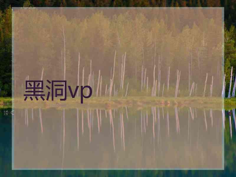 黑洞vp