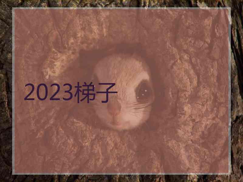 2023梯子