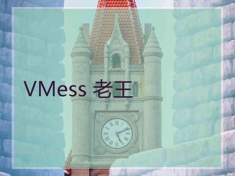 VMess 老王