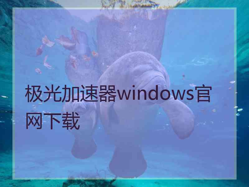 极光加速器windows官网下载