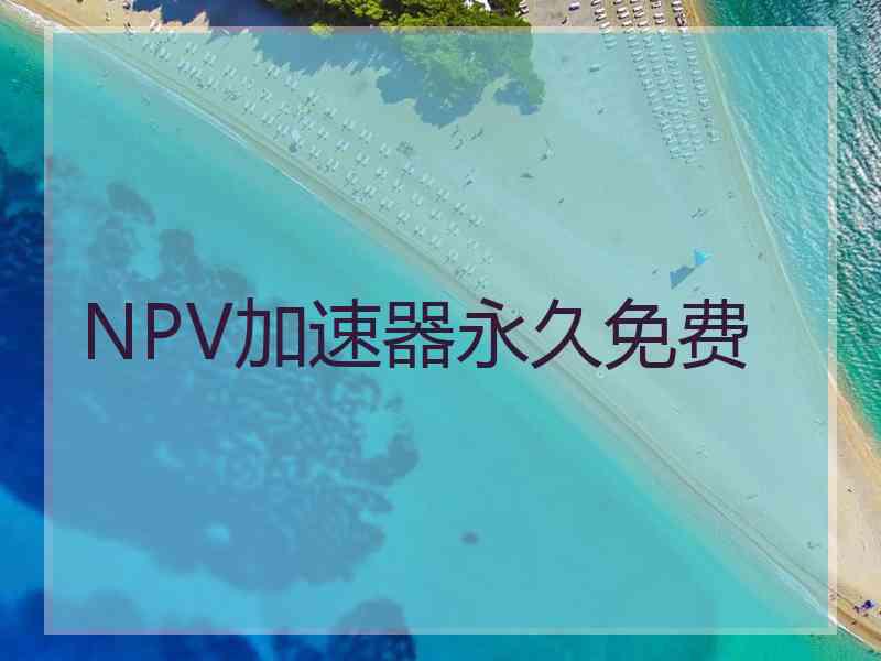 NPV加速器永久免费