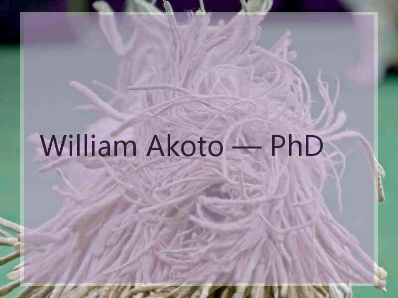 William Akoto — PhD