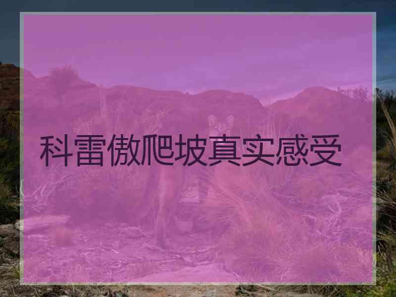 科雷傲爬坡真实感受