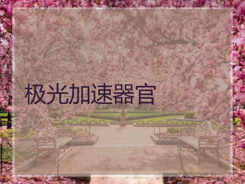 极光加速器官