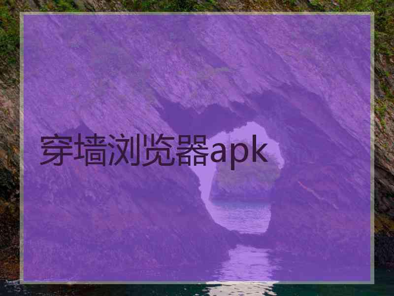 穿墙浏览器apk